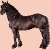 Fríský kůň.gif