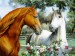 Láska mezi koňmi.jpg